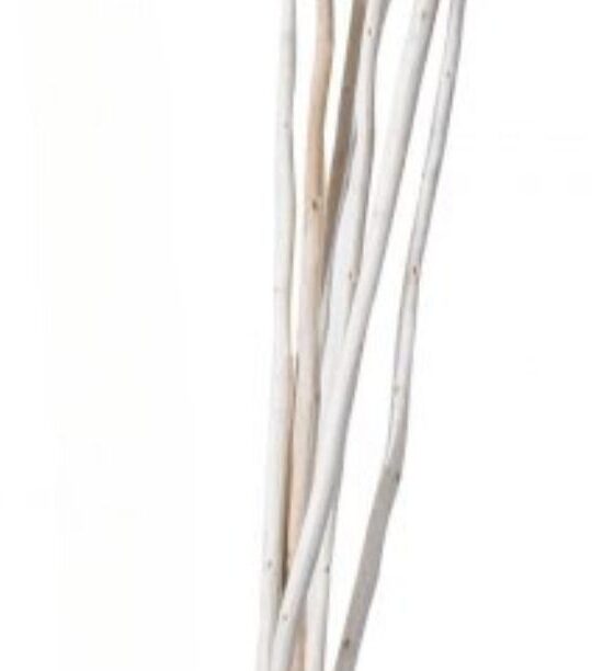 wavy sticks image