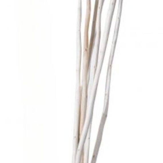 wavy sticks image