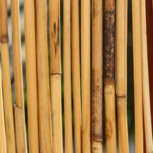 Ratan Bamboo Stick Supplier