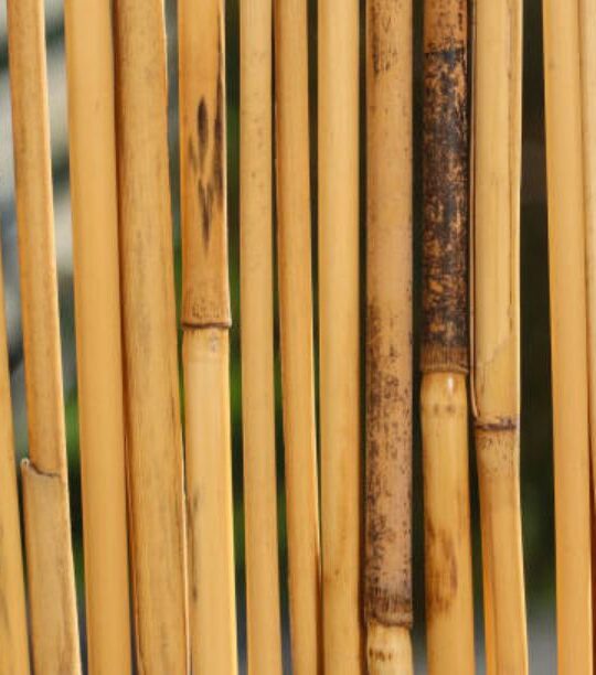 Ratan Bamboo Stick Supplier