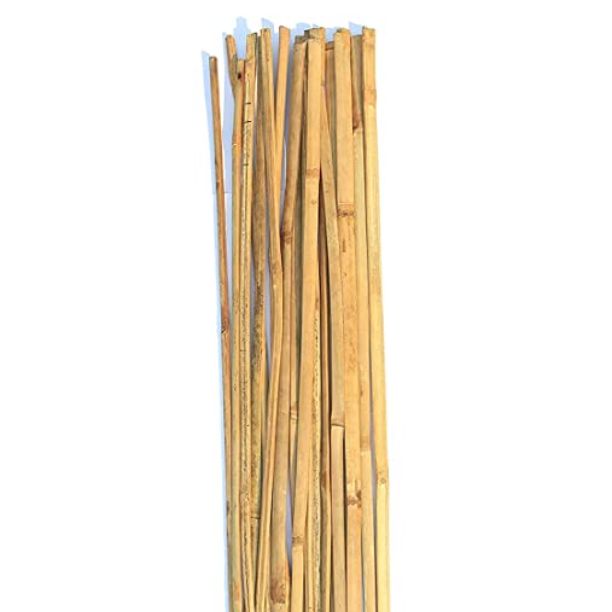dried bamboo stick