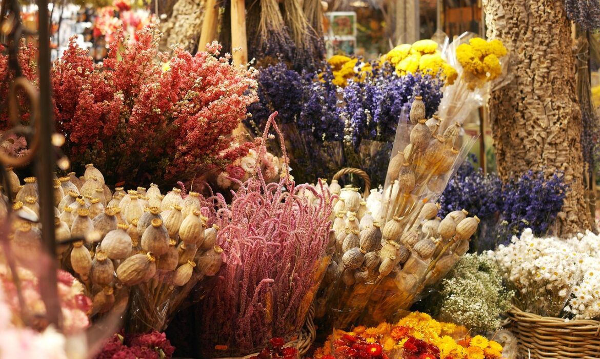 types of dried flowers