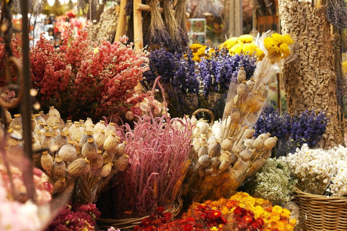 types of dried flowers