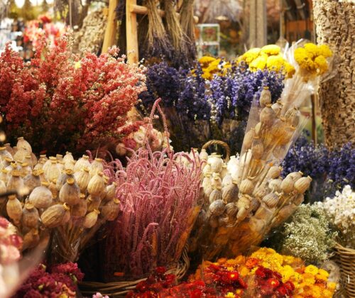 Types of Dried Flowers And Their Meanings