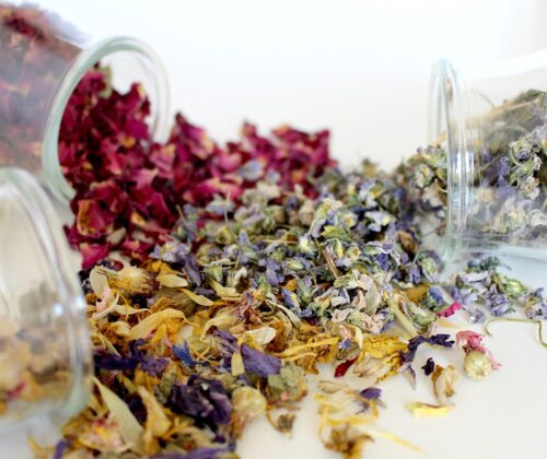 Dried Flowers and Preserved Flowers