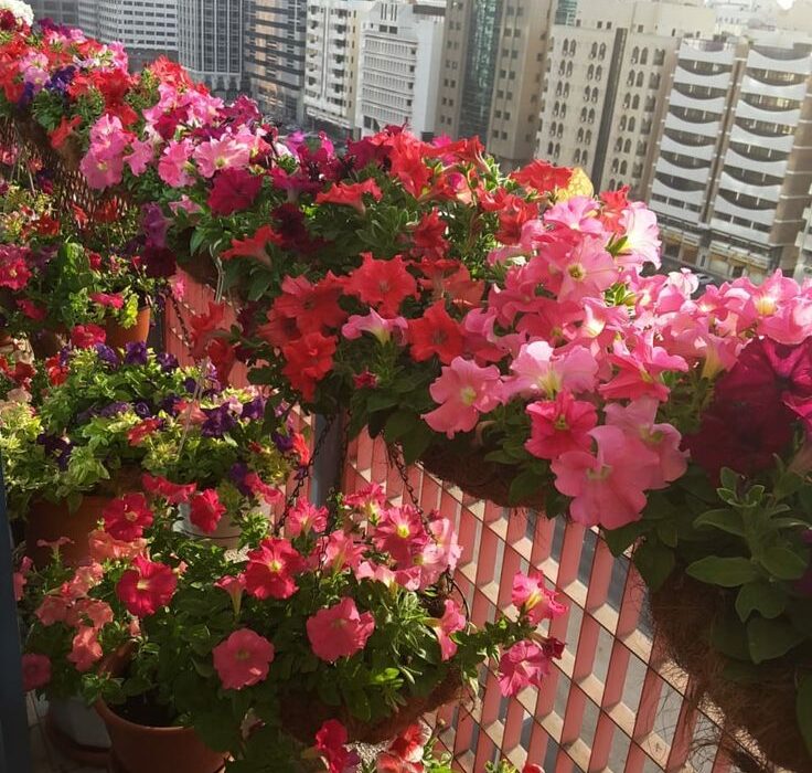 Beautiful small balcony decor with dried flowers