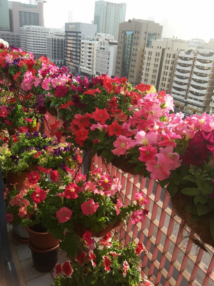 Beautiful small balcony decor with dried flowers