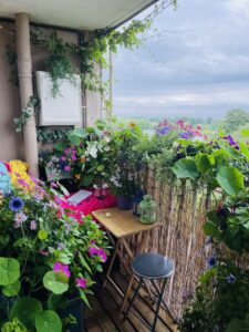 Balcony decoration ideas using dried leaves & flowers