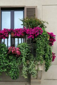  Balcony decoration ideas with pink dried flowers & leaves