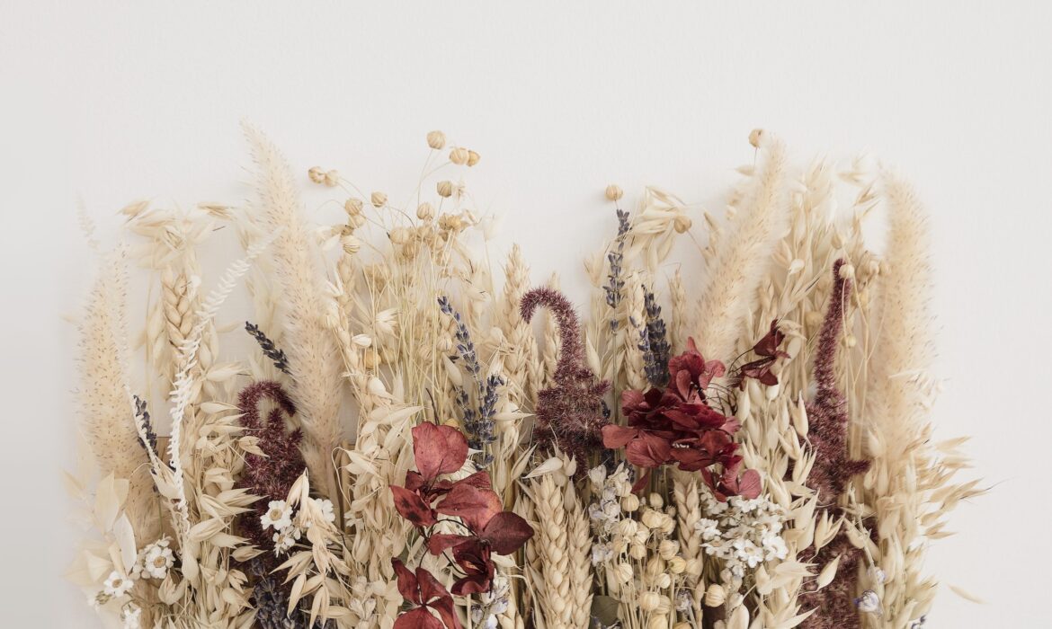 This image shows some beautiful dried flowers- let us find out in this blog a guide on their longevity