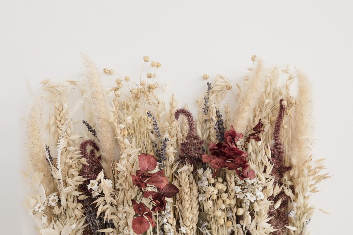 This image shows some beautiful dried flowers- let us find out in this blog a guide on their longevity