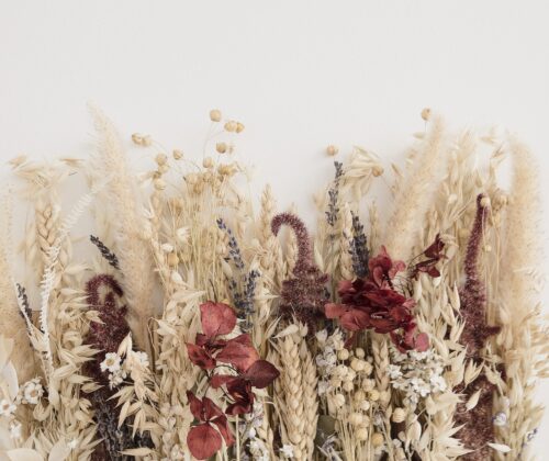 Understanding How Long Do Dried Flowers Last