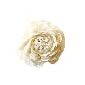 Beautiful Sola Wood Flower- Sola Beli