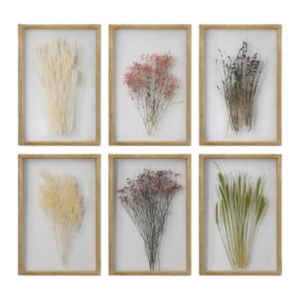 Dried flowers in frame