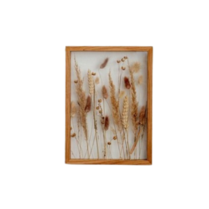 Dried flower & pampas in frame