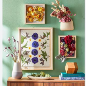 Dried flower wall decor