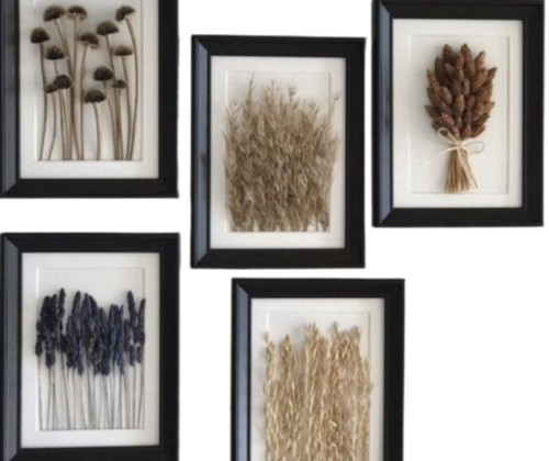 Let’s Explore What to Do with Dried Flowers