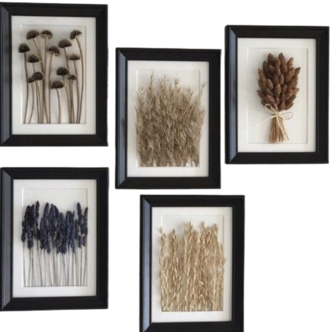 Dried Flowers & Grass in Frame