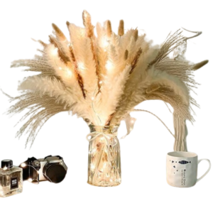 Pampas & Dried Flowers in Vase with Lighting