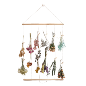 Variety of Dried Flower Hanging