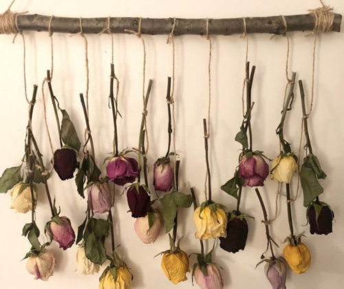 Dried Roses as Timeless Decor: Preserving Elegance