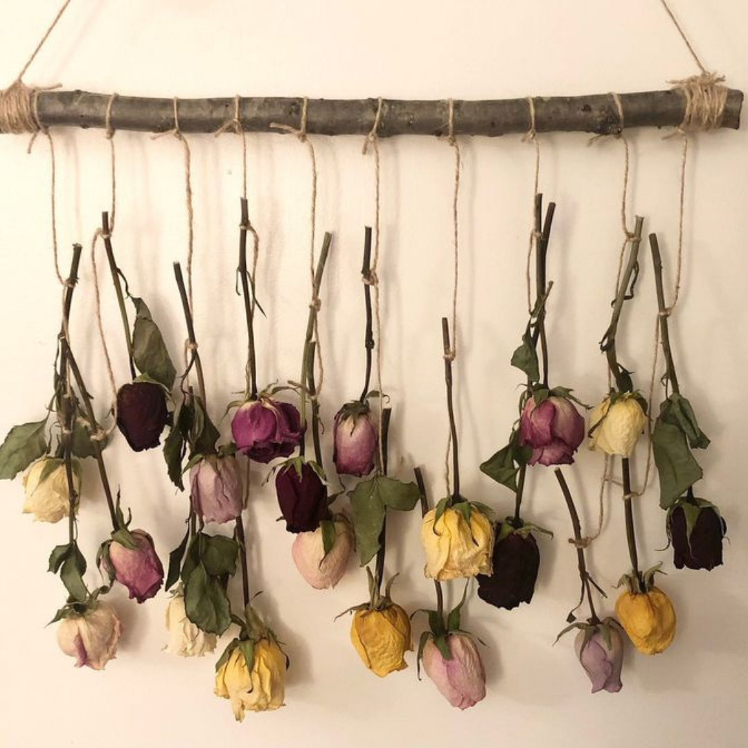 This image shows dried rose hanging