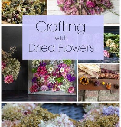 Extend the Life of Natural Dried Flowers Online India