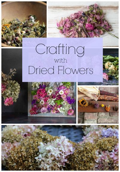 Natural Dried Flowers Online India