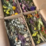 wholesale dried flower India