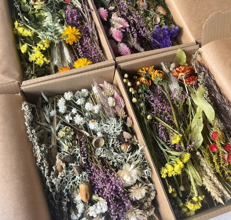 wholesale dried flower India