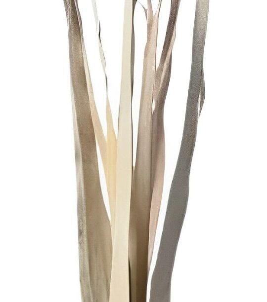 Sun Palm Leaf