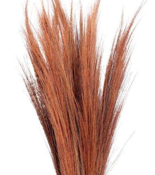 Broom Grass