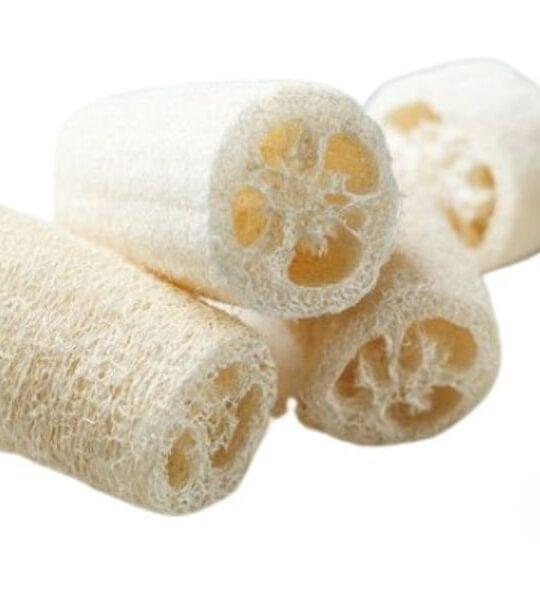 Luffa
