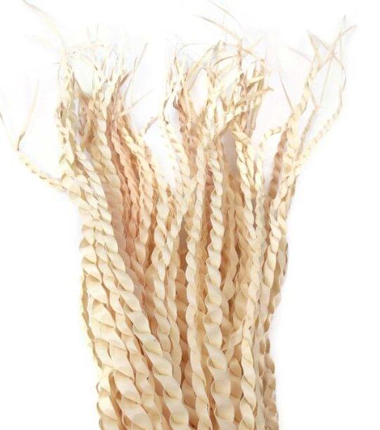 Palm Snake