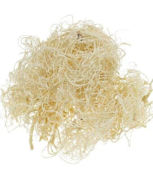 Curly Moss Bleach