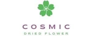 cosmic venture logo