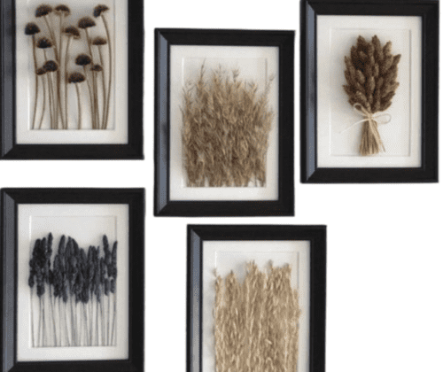 What to Do with Dried Flowers- Let’s Explore
