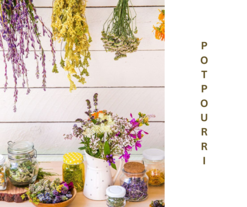 Guide to Making Potpourri from Dried Flowers