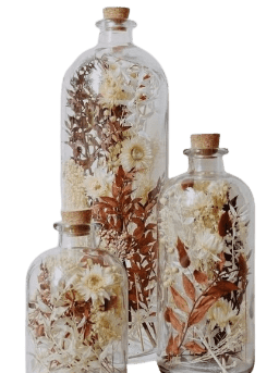 Organic Dried Flowers- The Sustainable Alternative to Artificial Blooms