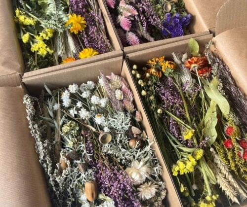 Dried Flowers Wholesale India-Creating Stunning Arrangements