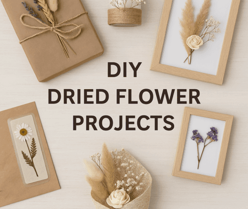 DIY Dried Flower Projects for Home and Gifting